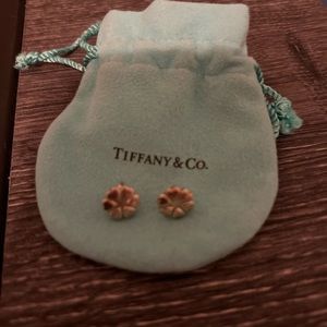 Tiffany & Company Earrings
